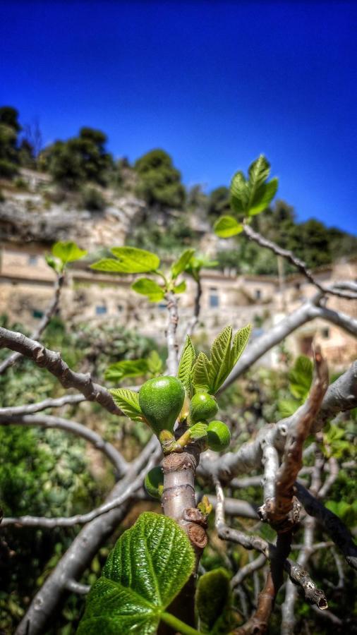 שיקלי Lilibeth Houses - Charming & Lovely Views מראה חיצוני תמונה